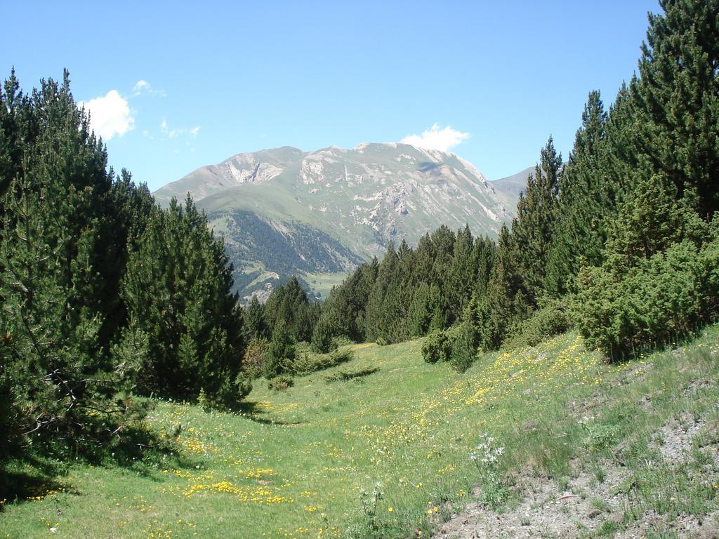 Вилла Xalet Riba - Hut 8077 Аринсал Экстерьер фото